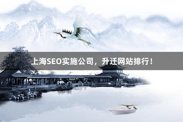 上海SEO实施公司，升迁网站排行！