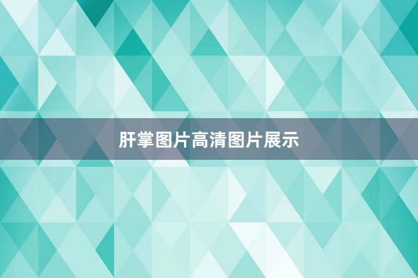 肝掌图片高清图片展示